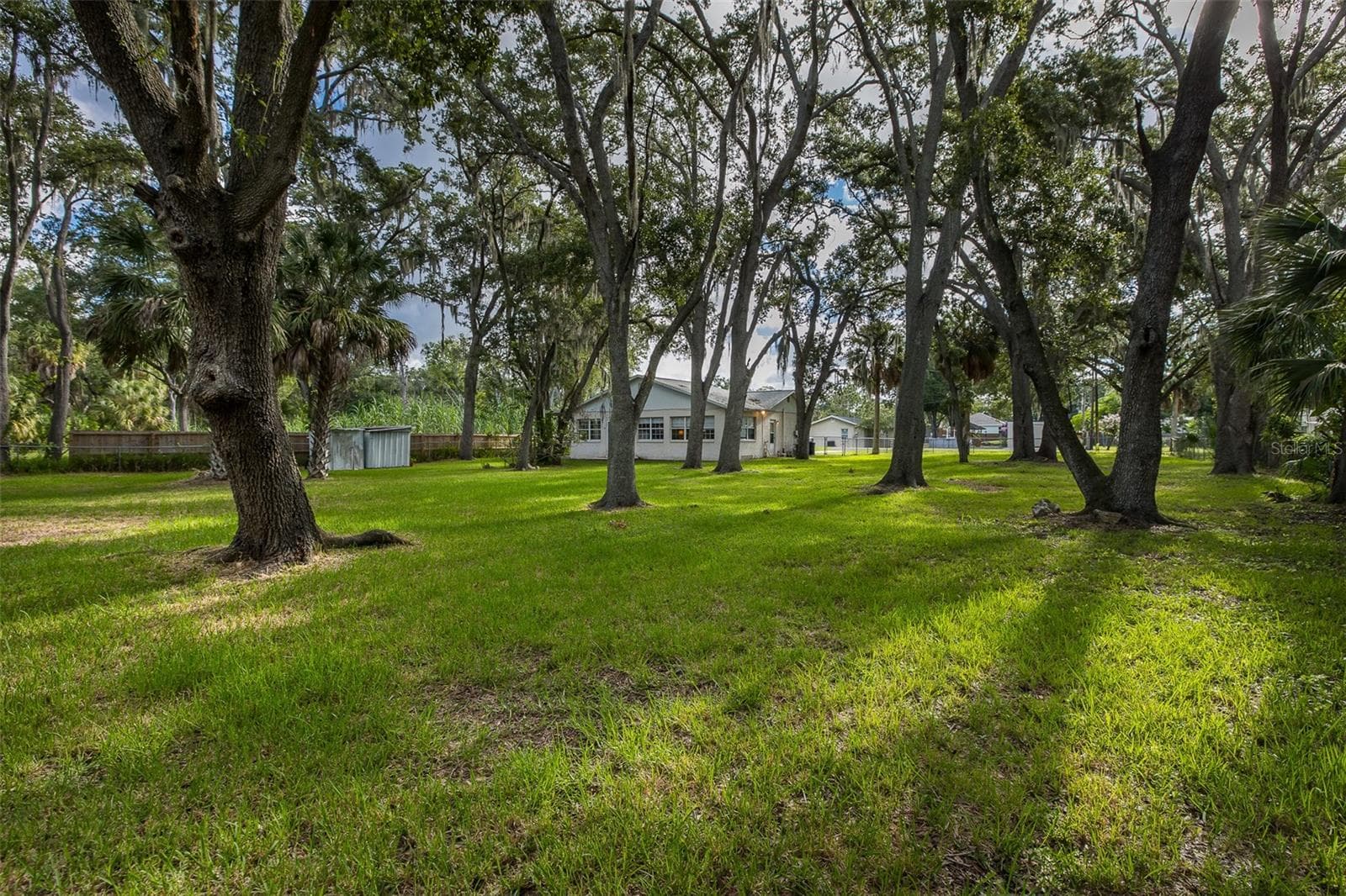 Single Family Residence at 4715 NEEDLE PALM DR, NEW PORT RICHEY, photo 44 of 58