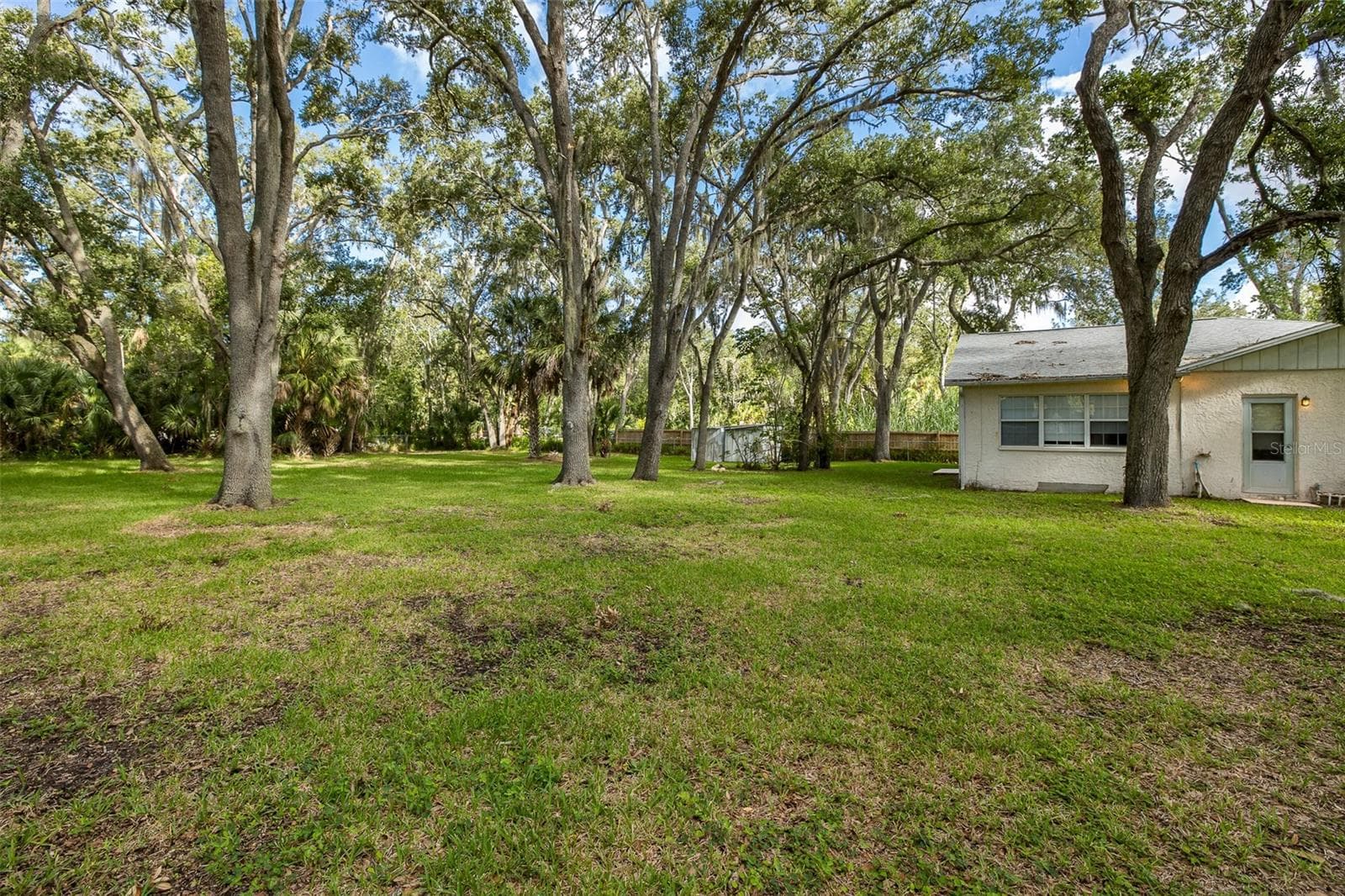 Single Family Residence at 4715 NEEDLE PALM DR, NEW PORT RICHEY, photo 53 of 58