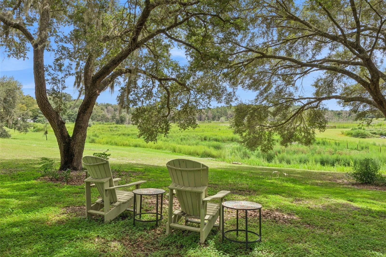Lush green grounds with mature trees create a private, park-like setting on this expansive property. - 1476 SPRING LAKE RD, FRUITLAND PARK