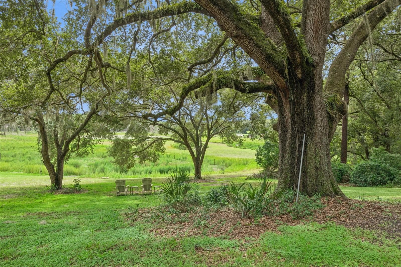 Winding paths and natural landscaping invite you to explore every corner of this serene retreat. - 1476 SPRING LAKE RD, FRUITLAND PARK