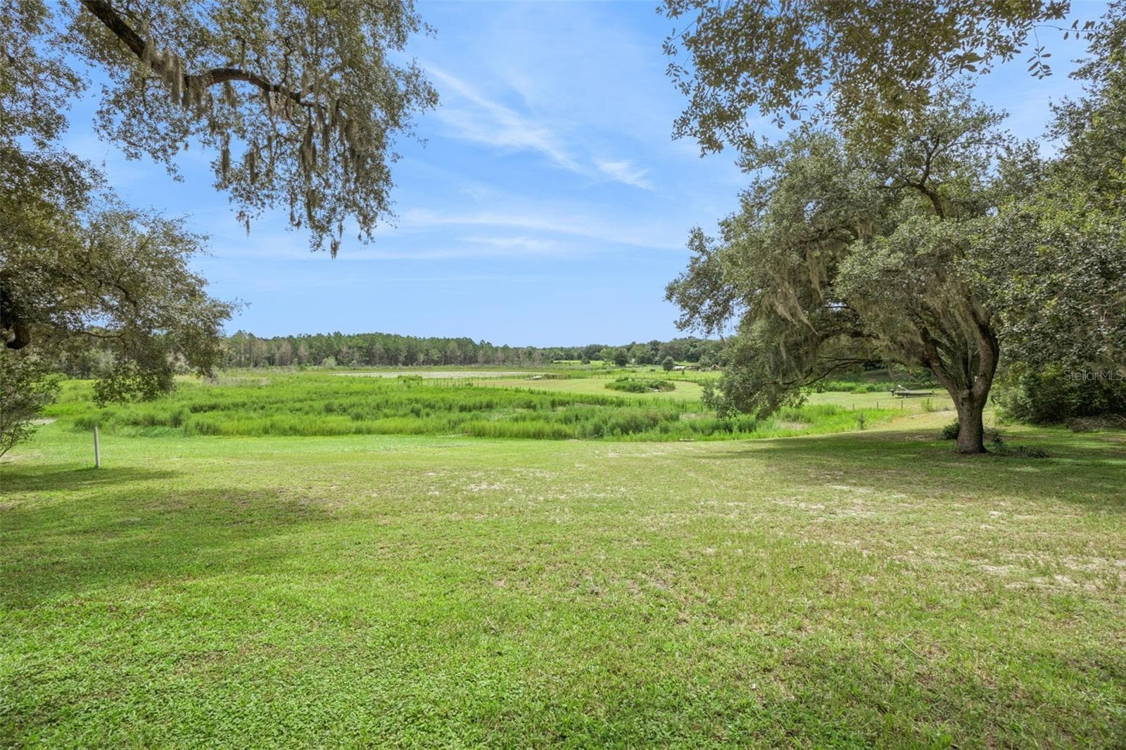 Stroll through the picturesque grounds dotted with towering oaks and natural Florida beauty. - 1476 SPRING LAKE RD, FRUITLAND PARK