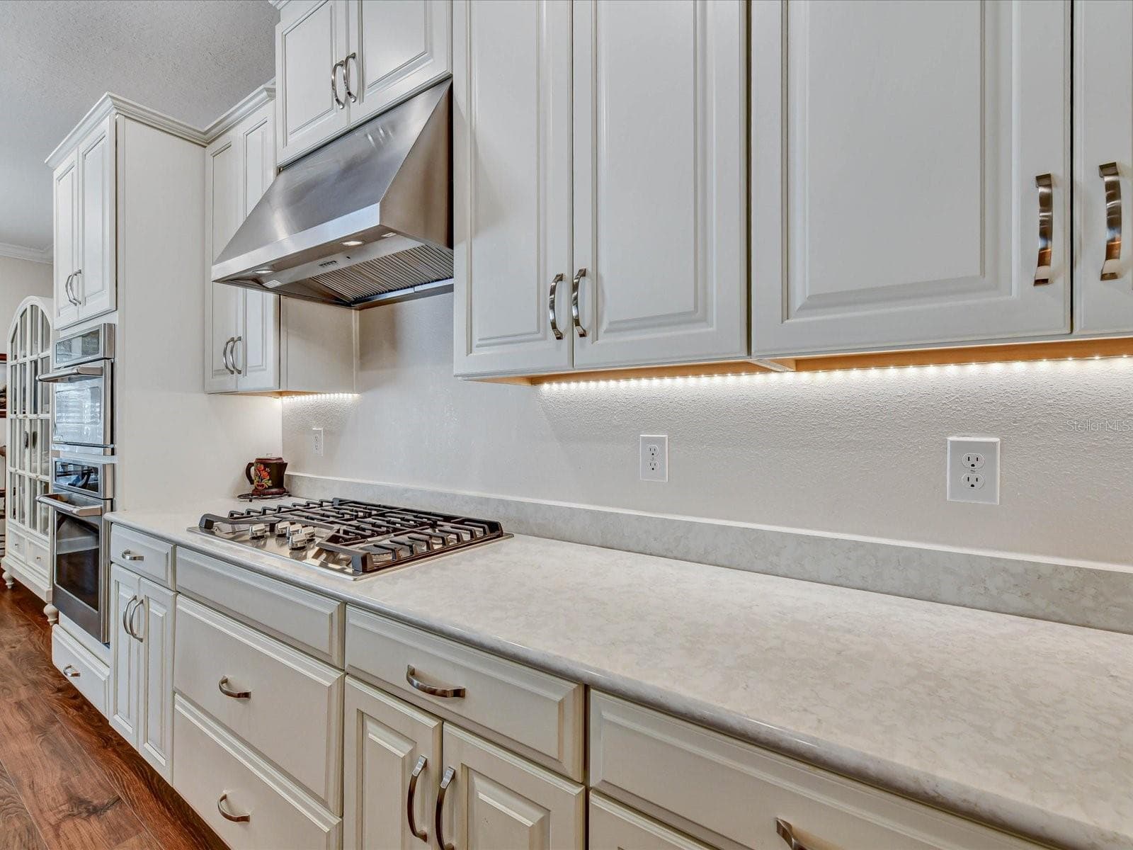 Single Family Residence at 29735 CASSINO CT, WESLEY CHAPEL, photo 11 of 76