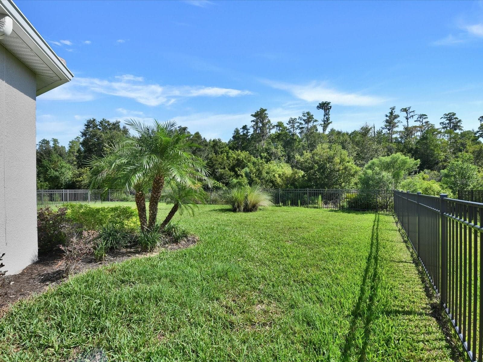 Single Family Residence at 29735 CASSINO CT, WESLEY CHAPEL, photo 55 of 76