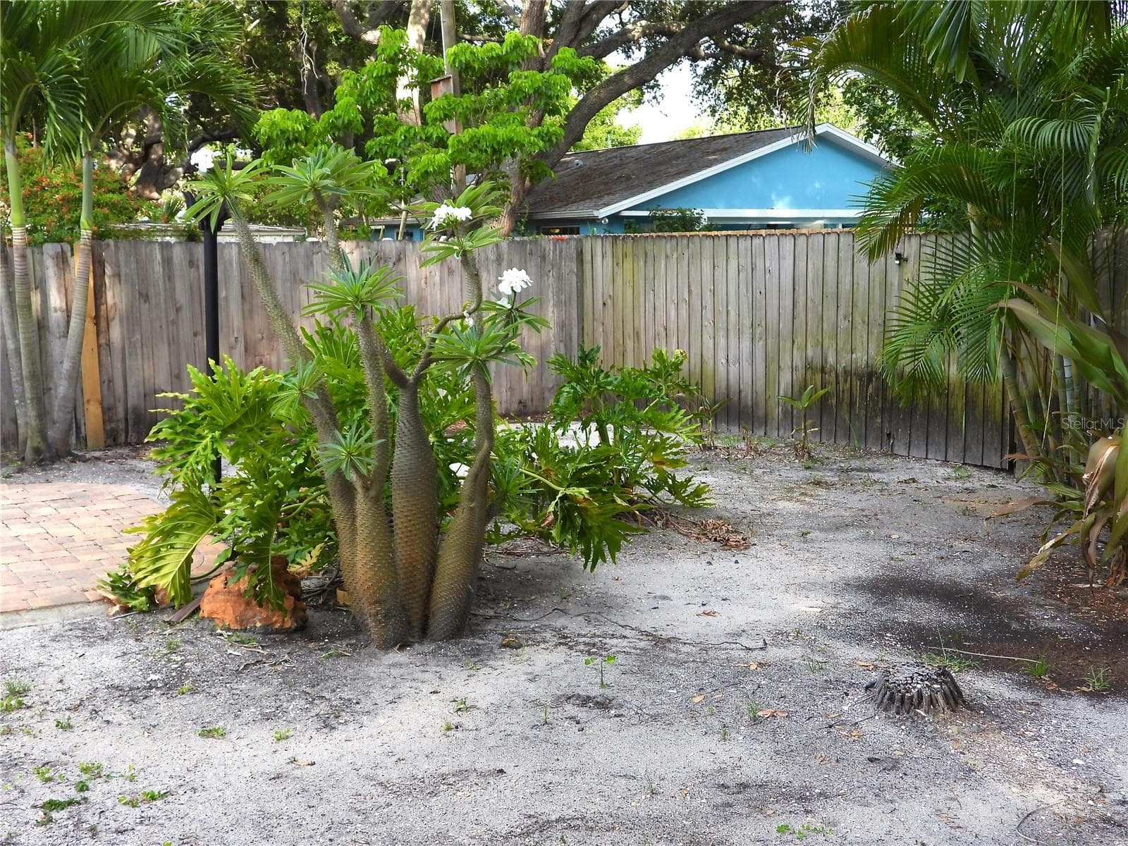 Single Family Residence at 7800 COUNTRY CLUB RD N, ST PETERSBURG, photo 20 of 26