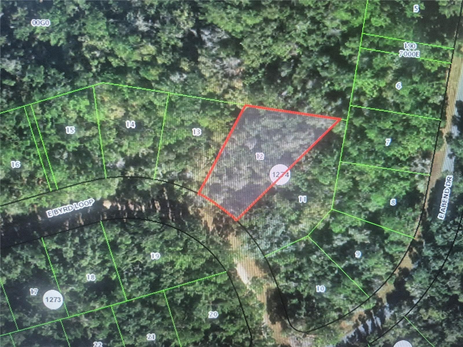 893 E BYRD LOOP