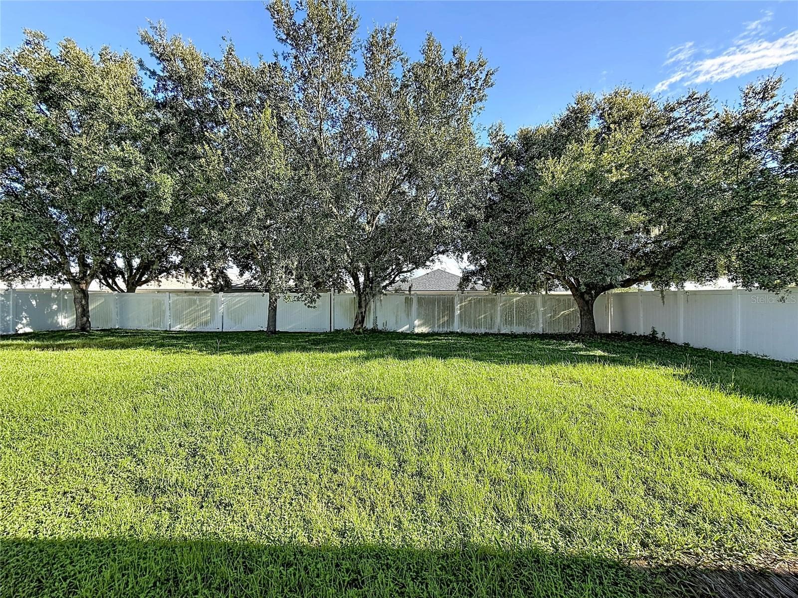 Single Family Residence at 31225 TAGUS LOOP, WESLEY CHAPEL, photo 22 of 25