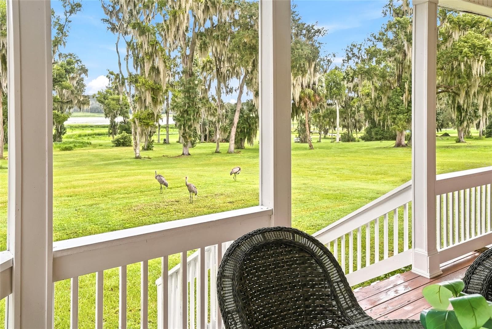 Back Porch - 18350 HANCOCK BLUFF RD, DADE CITY