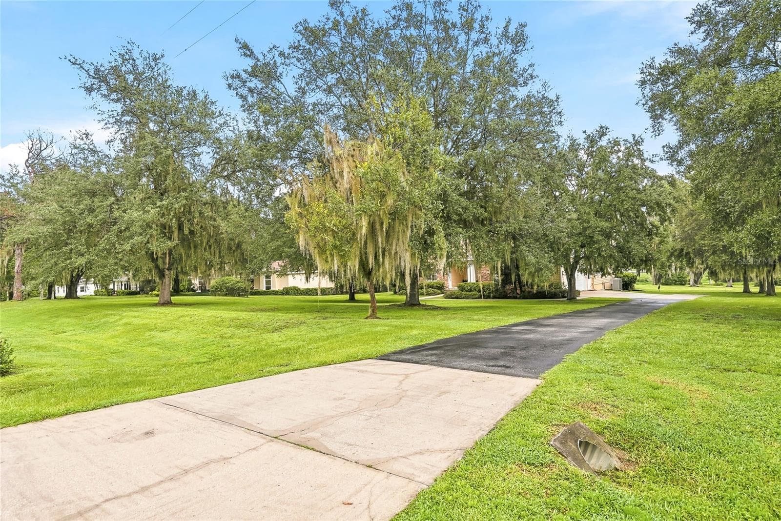 Driveway - 18350 HANCOCK BLUFF RD, DADE CITY