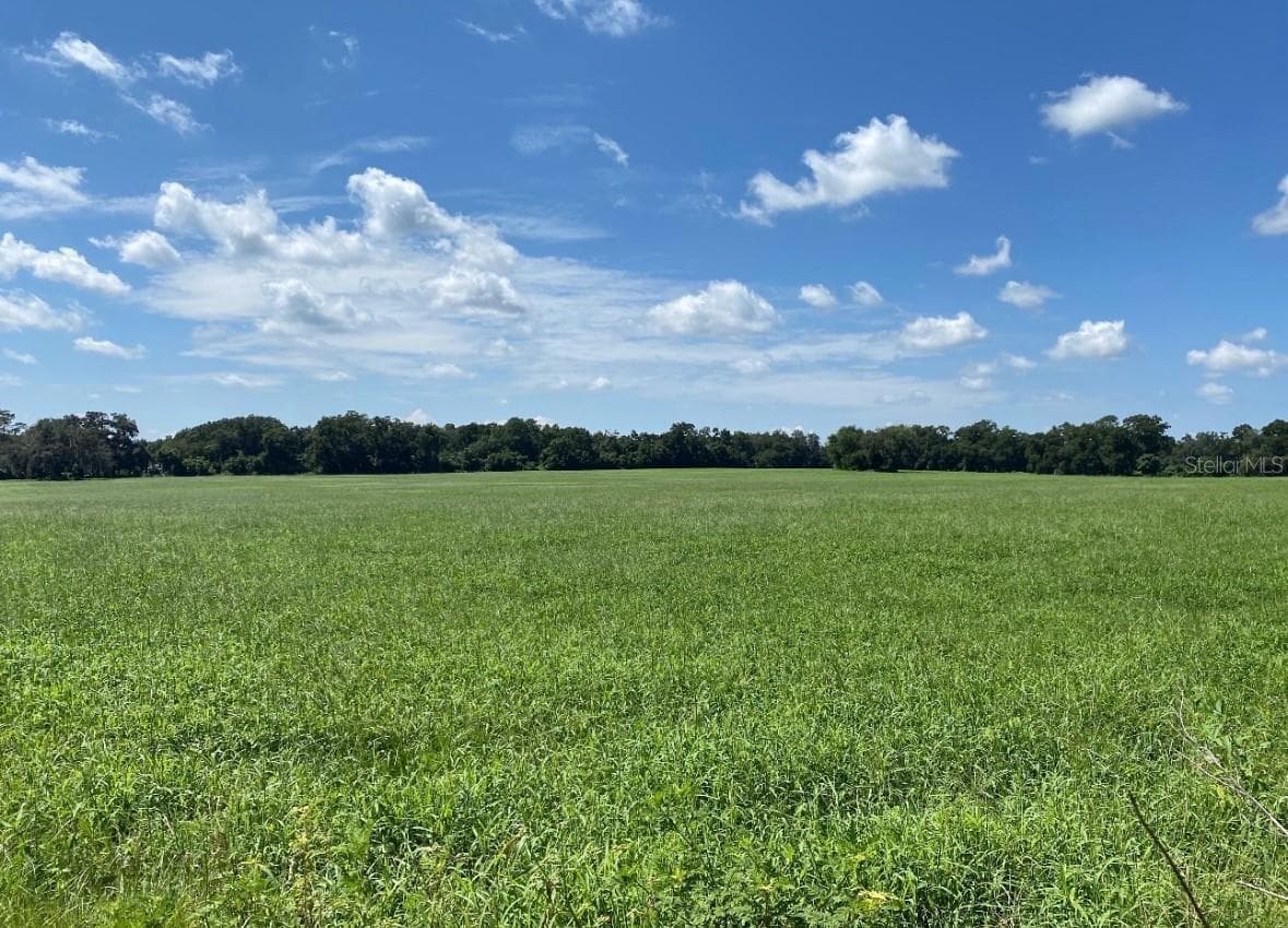 Land at 3650 NE 95TH ST, ANTHONY, photo 6 of 7