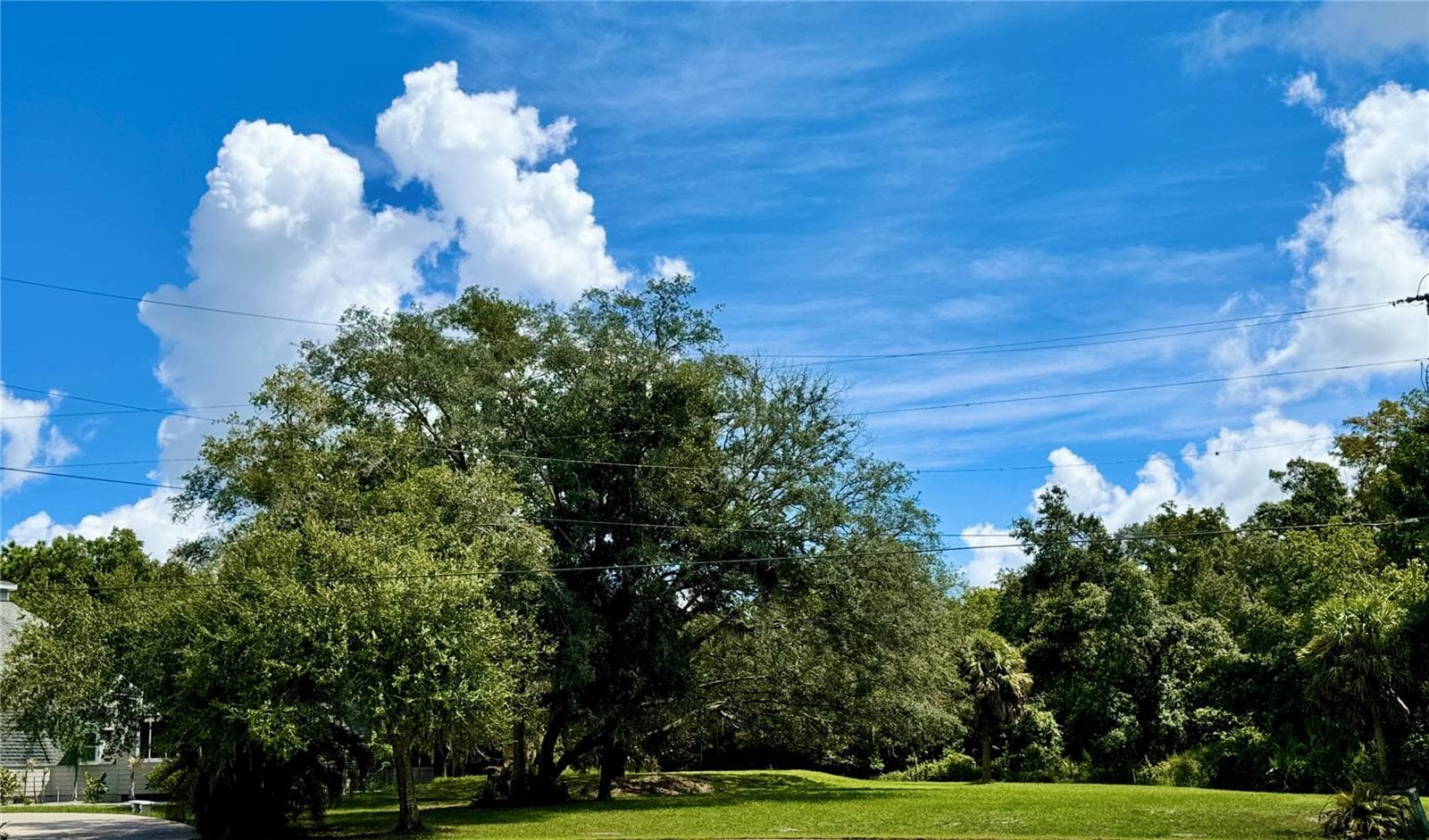 Single Family Residence at 9710 BLACK BEAR CT, NEW PORT RICHEY, photo 67 of 79