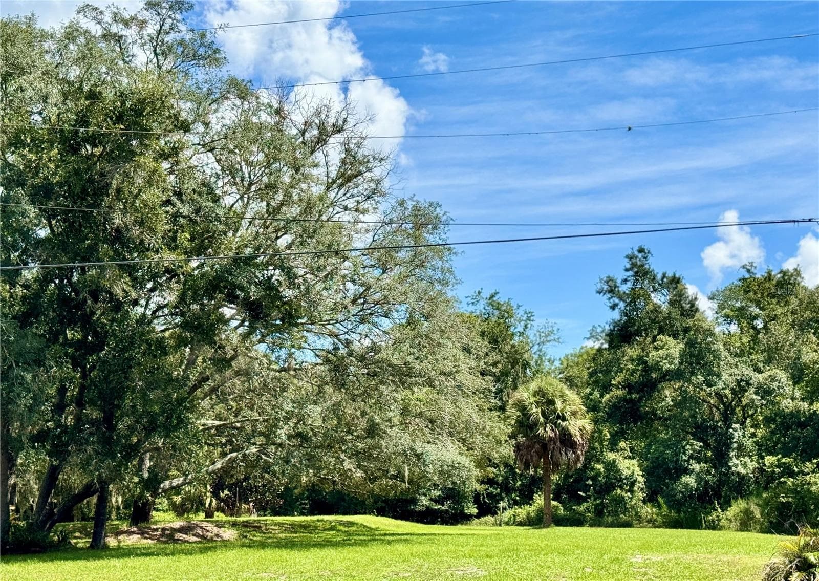 Single Family Residence at 9710 BLACK BEAR CT, NEW PORT RICHEY, photo 70 of 79