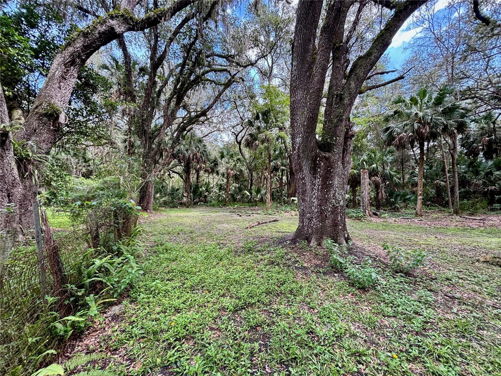Land at 302 NE BAY AVE, MICANOPY, photo 5 of 13