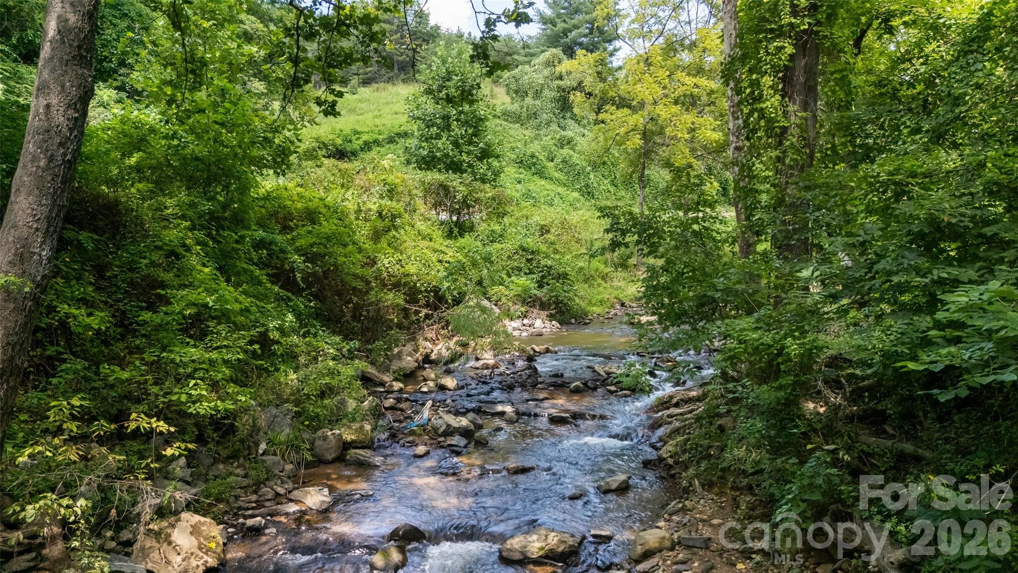 Lot at 376 Lower Flat Creek Road, Alexander, photo 2 of 11