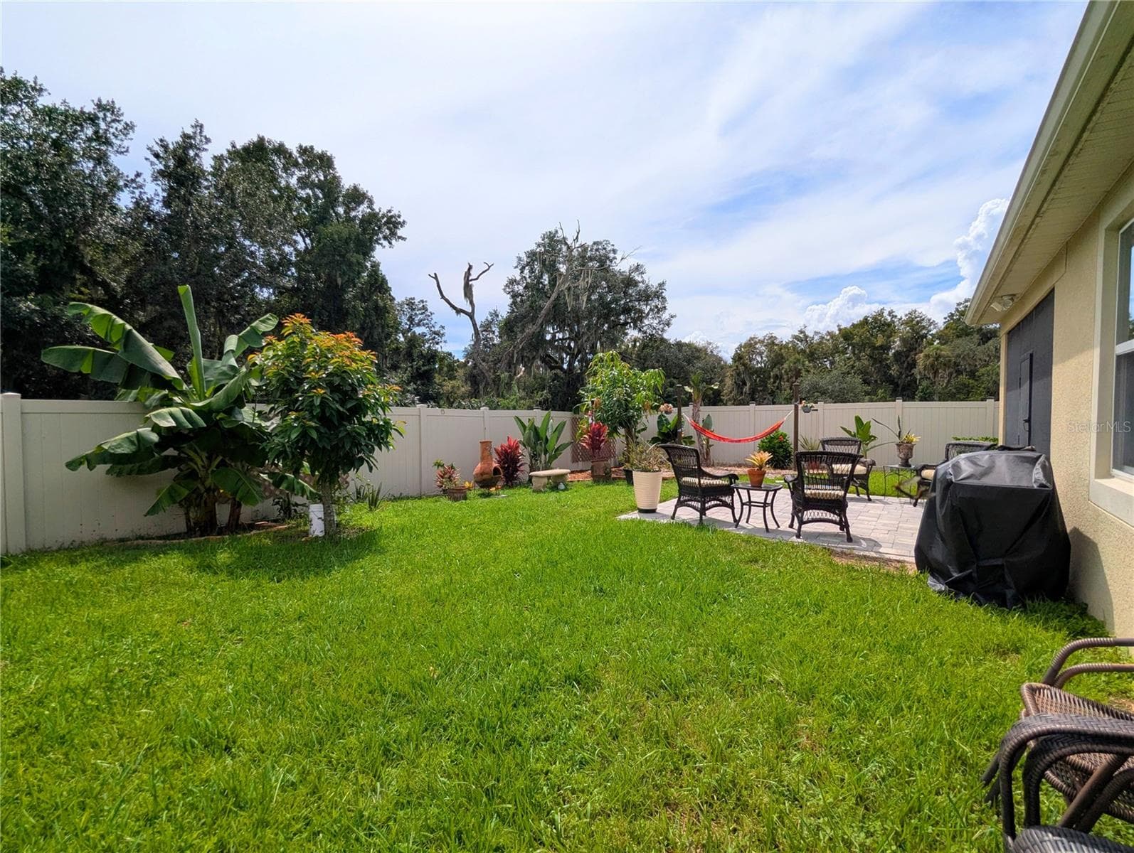 Rear Yard - 2333 FARNHAM DR, OCOEE