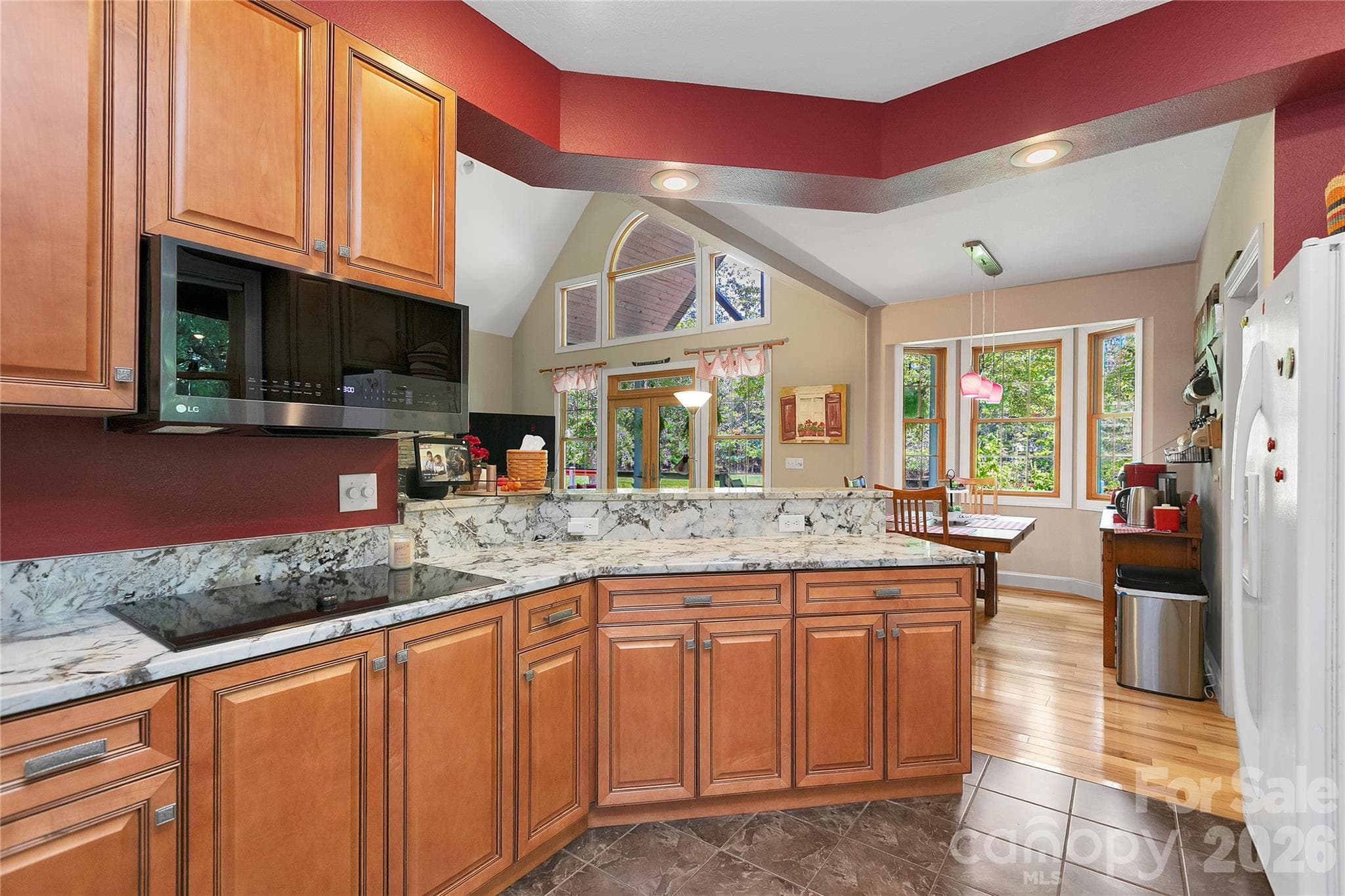 Induction Cooktop - 111 Kanunu Court, Brevard