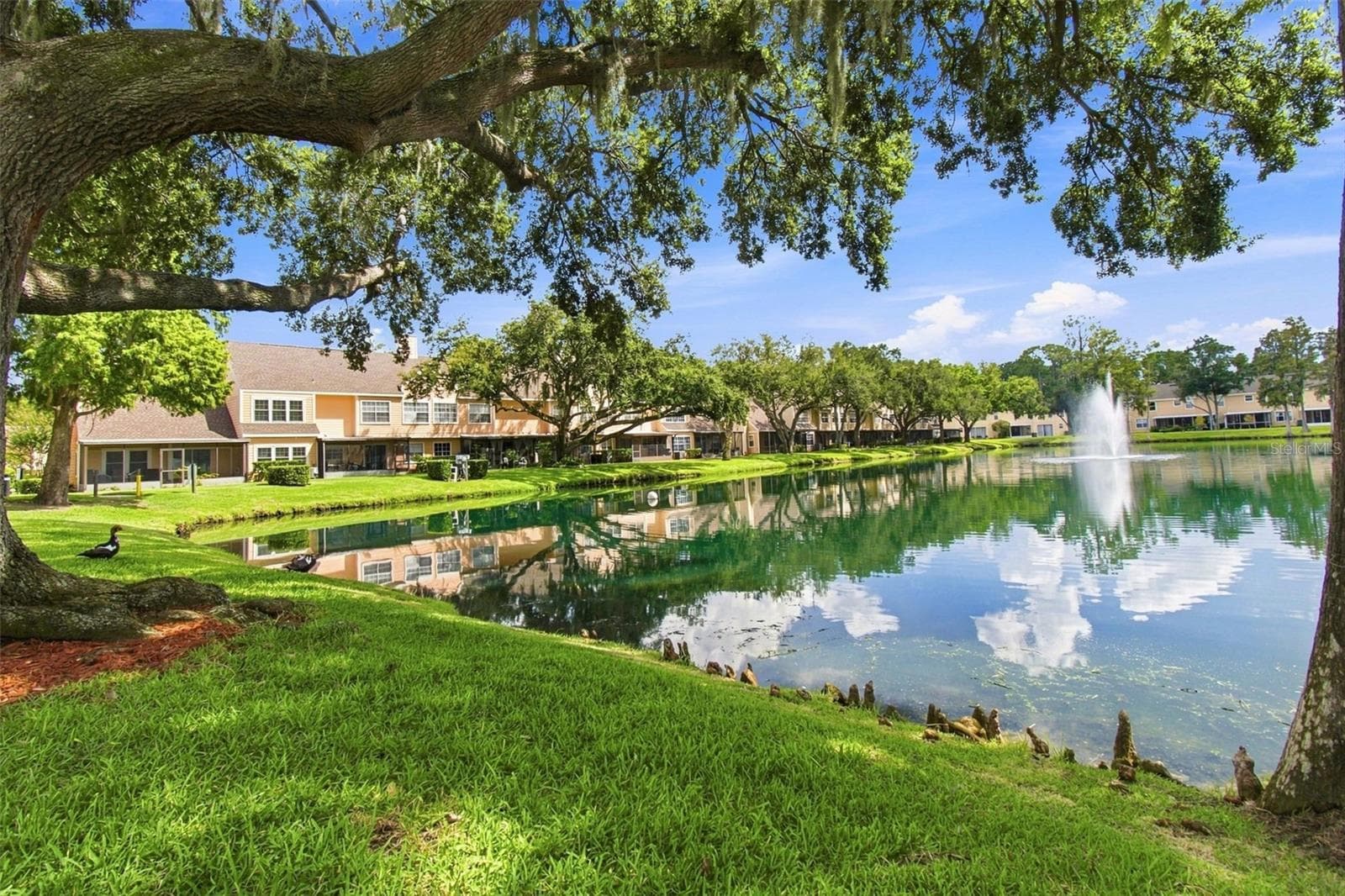 Condominium at 1356 BIG PINE DR #1356, VALRICO, photo 52 of 91
