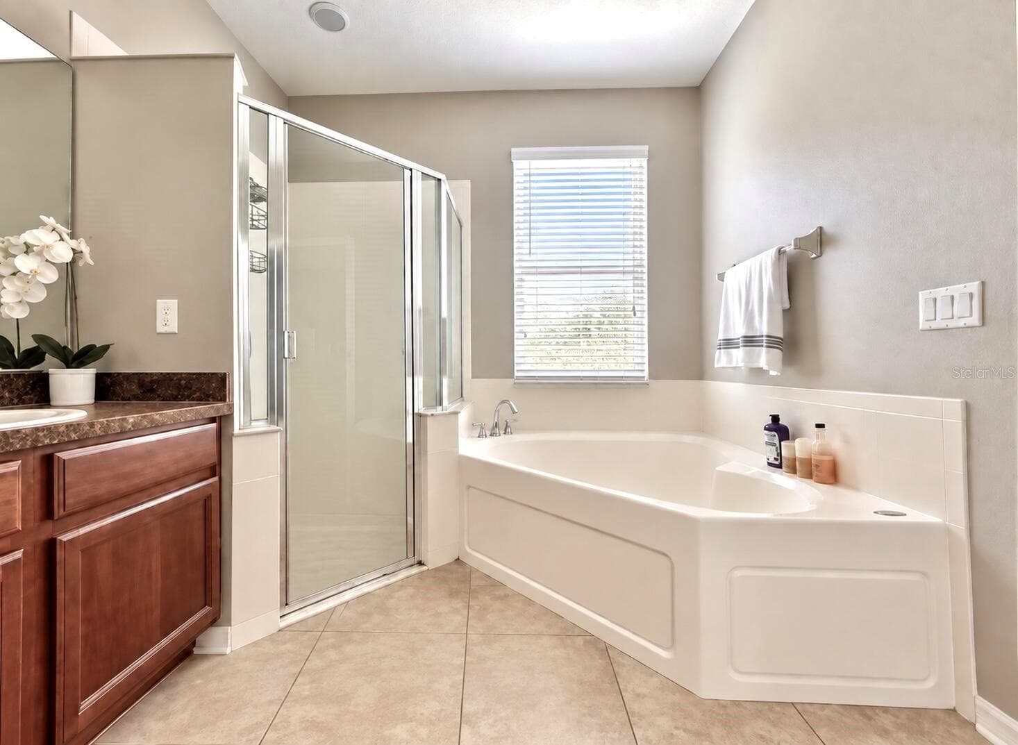 Single Family Residence at 13303 MOSS PARK RIDGE DR, ORLANDO, photo 14 of 27