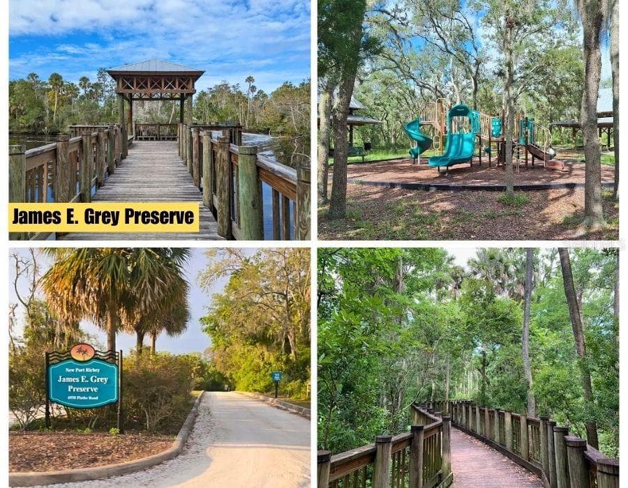 Land at POCO LOOP, NEW PORT RICHEY, photo 5 of 17