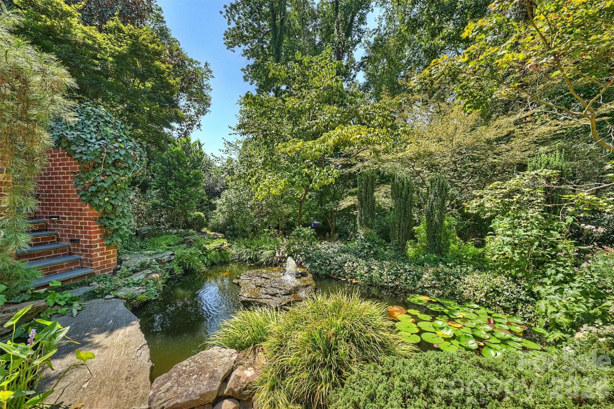Koi pond and fountain, koi will convey. - 2115 Foxcroft Woods Lane, Charlotte