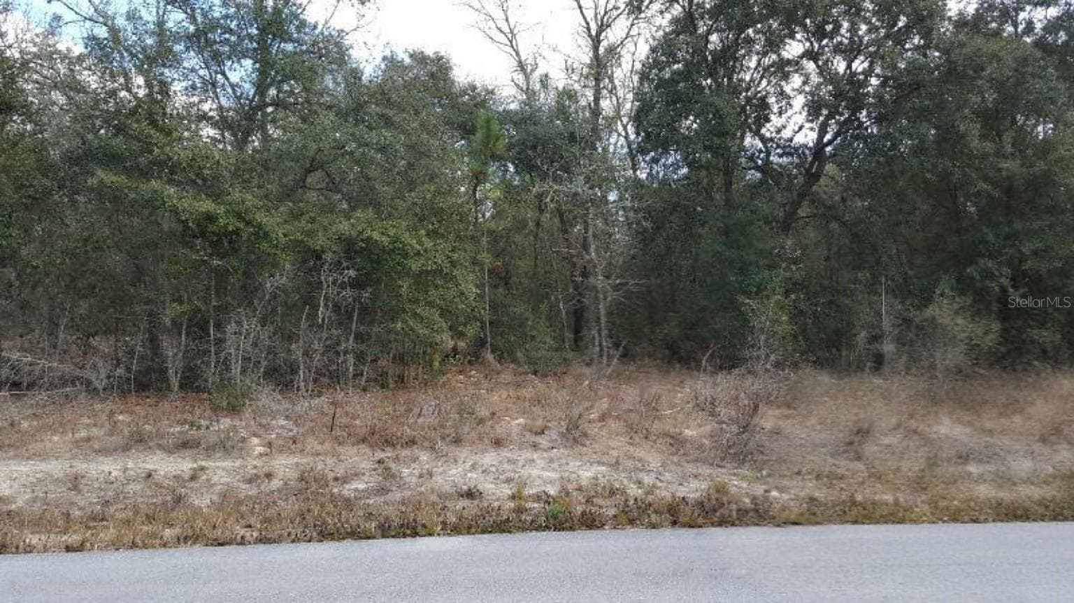 Land at 0 SE 88TH CT, SUMMERFIELD, photo 2 of 5