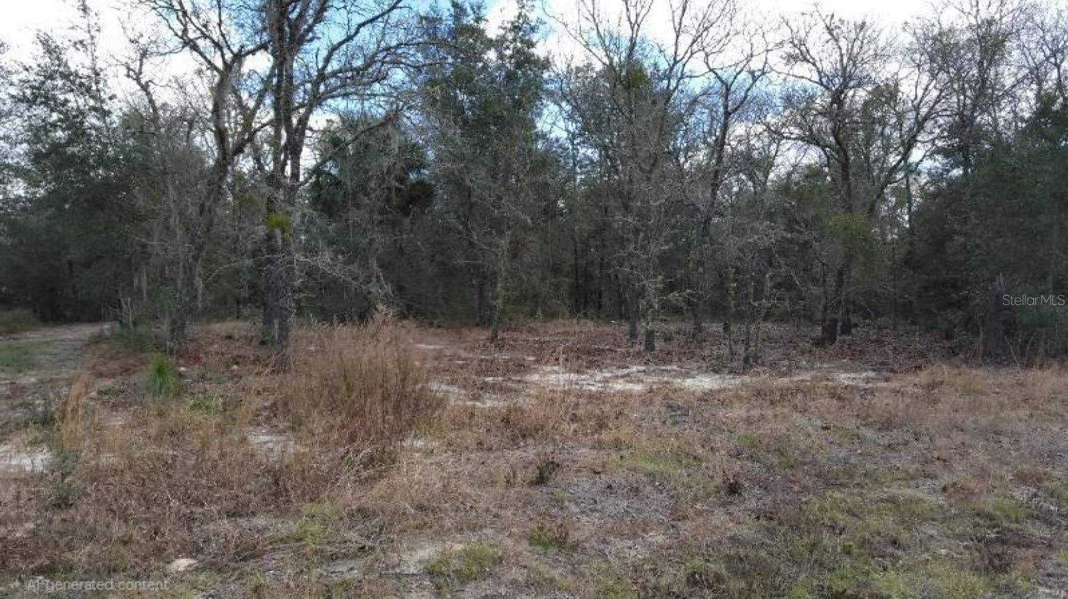 Land at 0 SE 88TH CT, SUMMERFIELD, photo 3 of 5