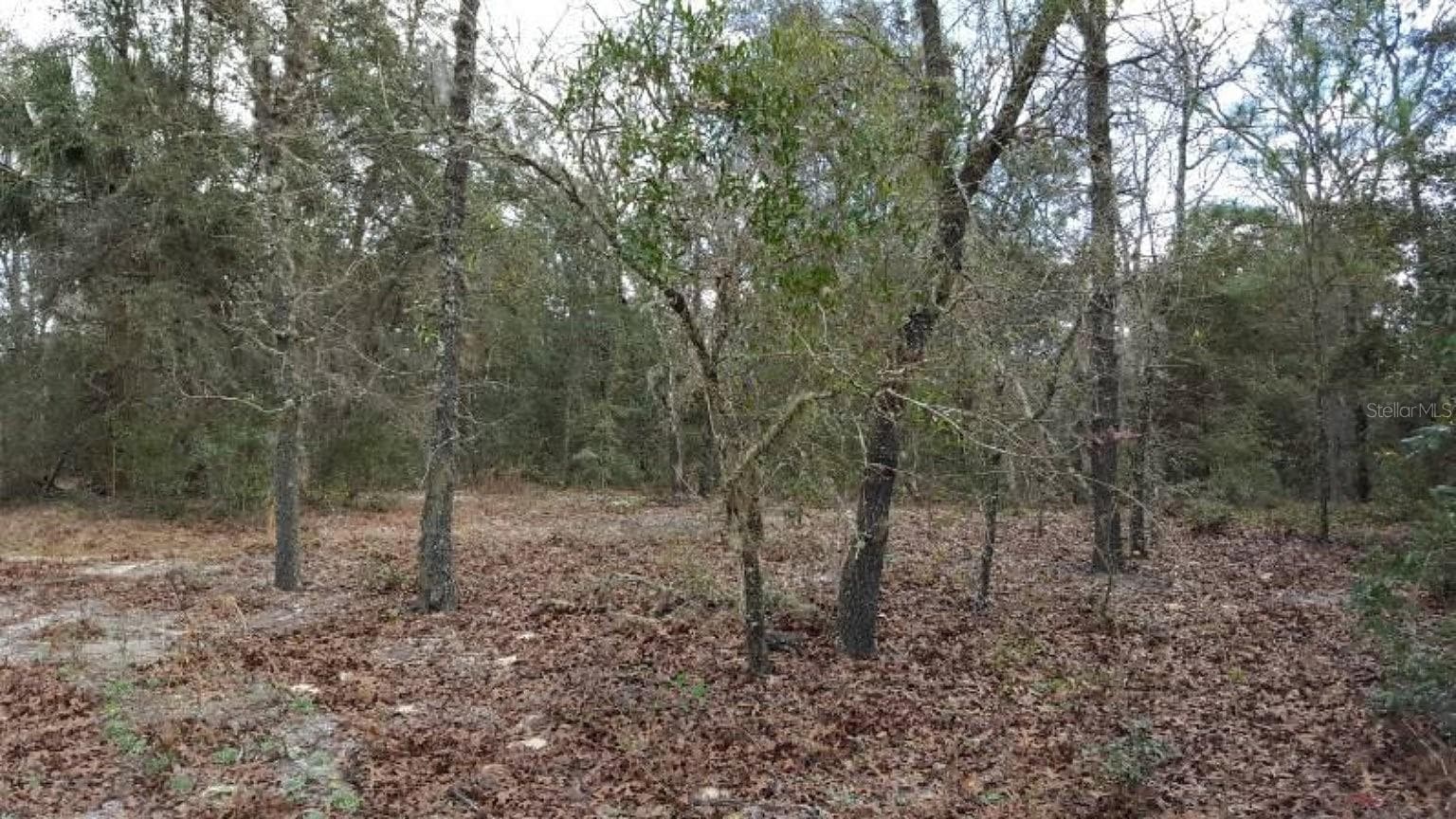 Land at 0 SE 88TH CT, SUMMERFIELD, photo 4 of 5