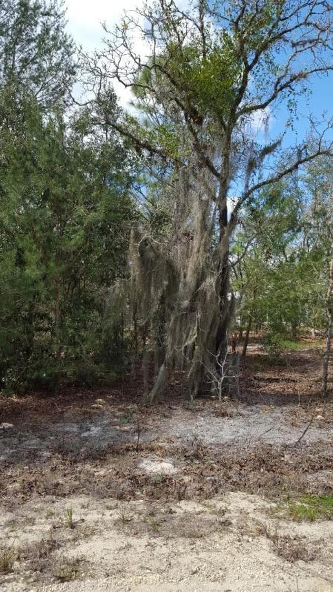 Land at 0 SE 88TH CT, SUMMERFIELD, photo 5 of 5