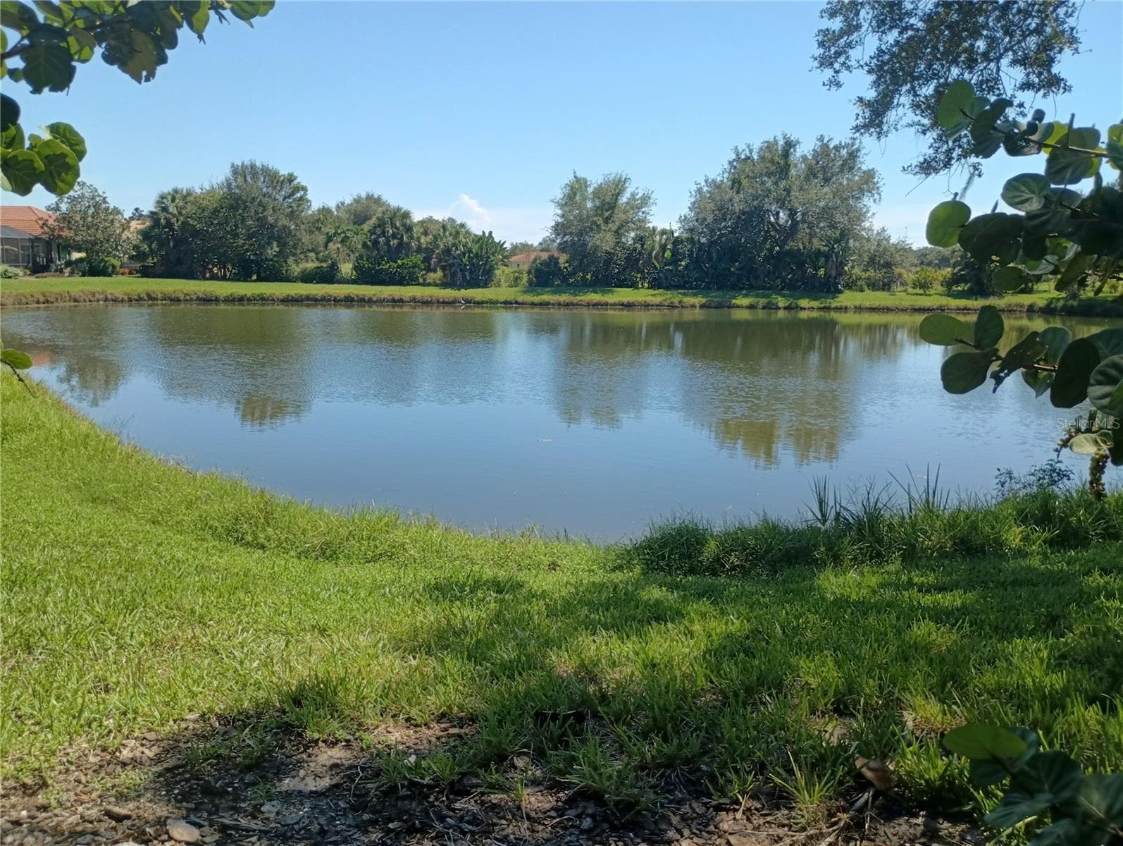 View from playground and picnic area - 1328 THORNAPPLE DR, OSPREY
