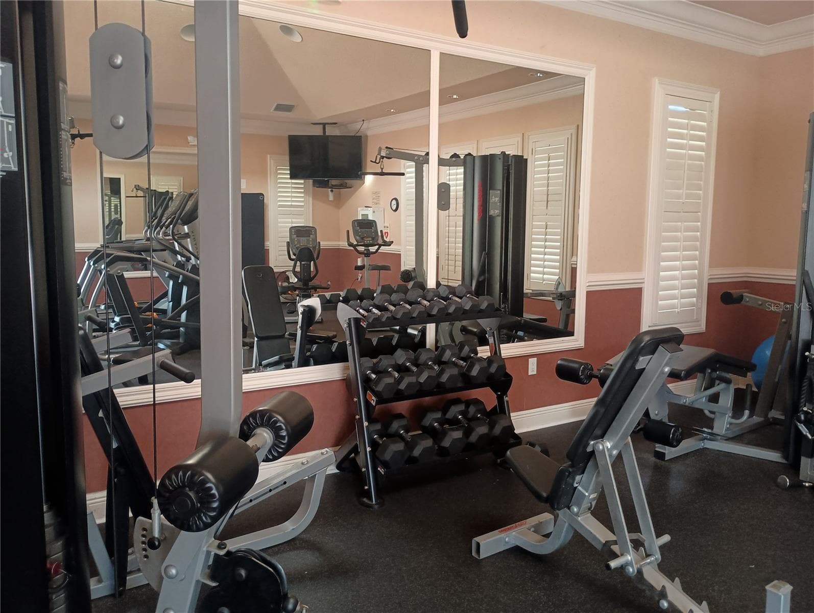 Fully equipped fitness center - 1328 THORNAPPLE DR, OSPREY