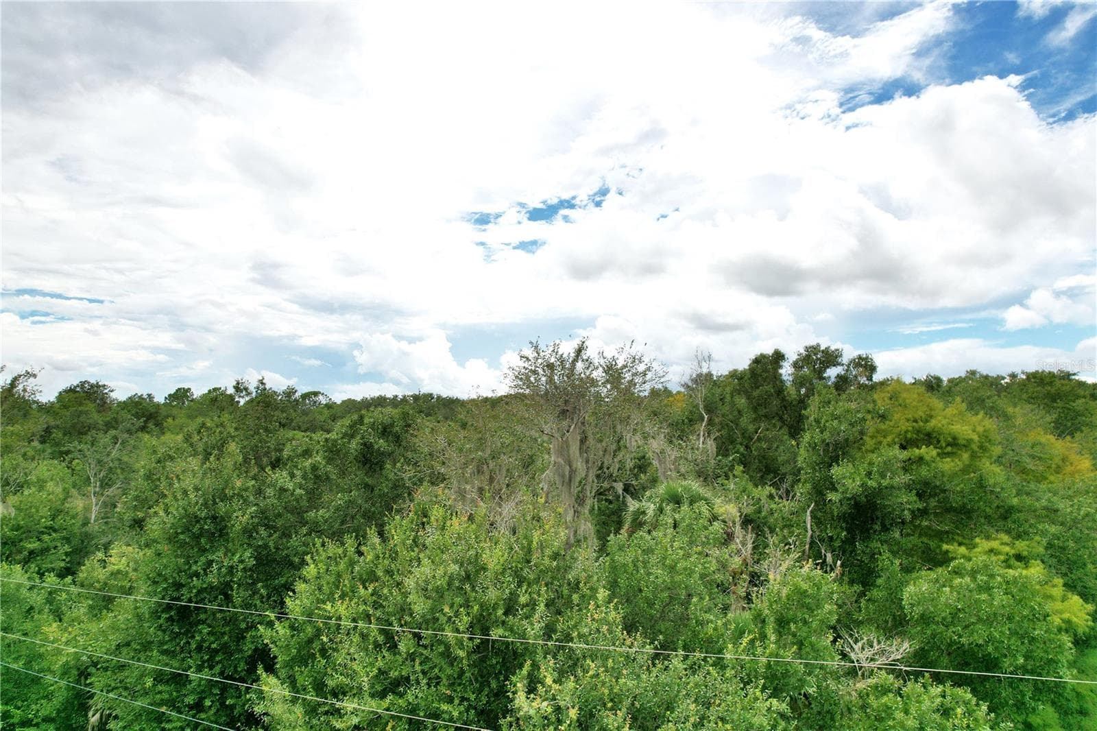 Land at 2047 SW NASSAU AVE, ARCADIA, photo 9 of 10