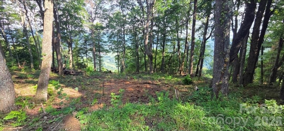 Idyllic level, gently sloping build sites, and THOSE VIEWS!! - 19 Estate Drive, Waynesville