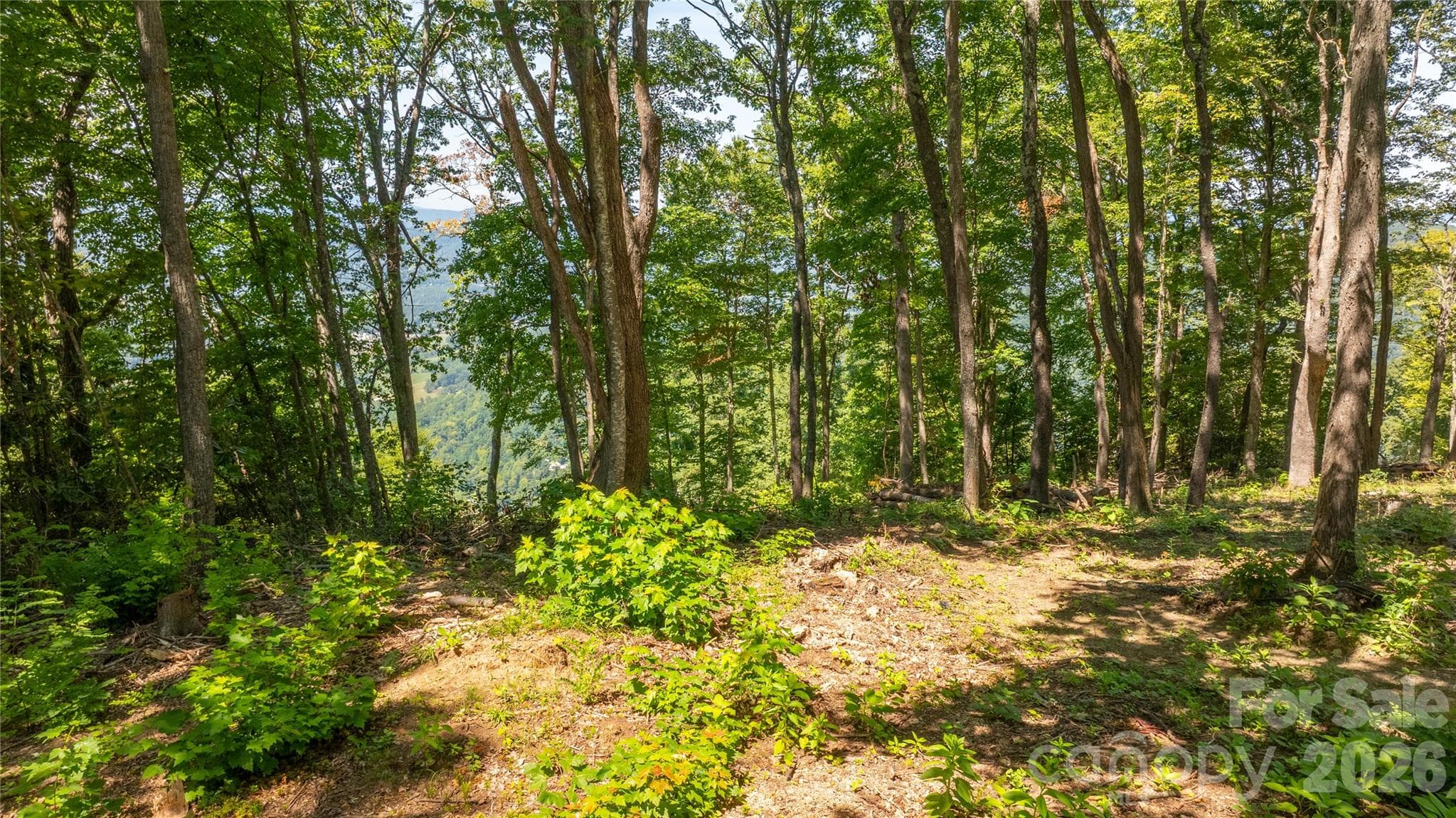 Lot at 19 Estate Drive, Waynesville, photo 11 of 27
