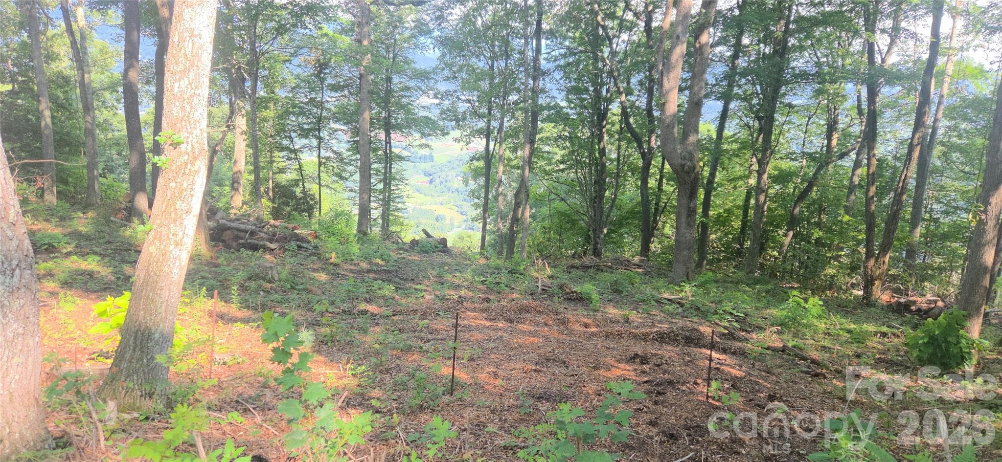 Idyllic level, gently sloping build sites, and THOSE VIEWS!! - 19 Estate Drive, Waynesville