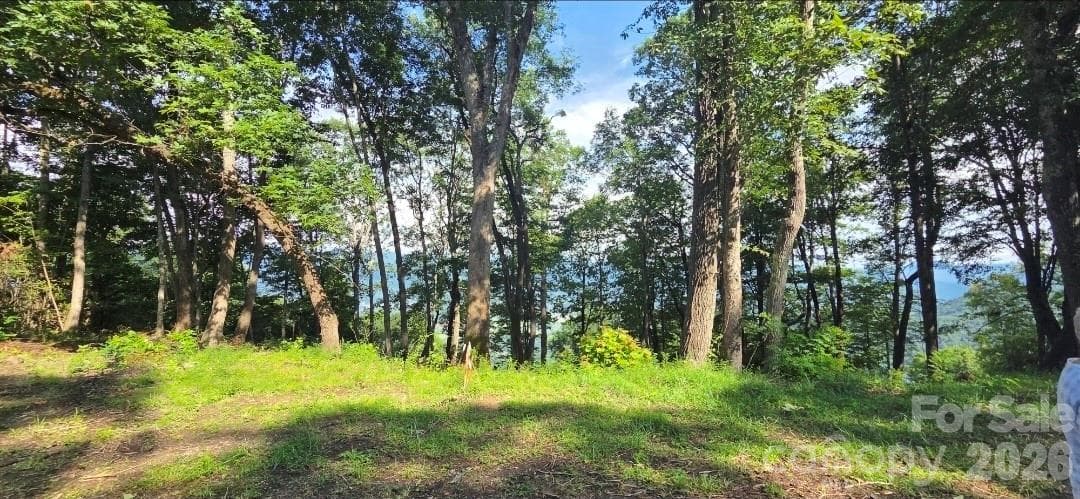 Idyllic level, gently sloping build sites, and THOSE VIEWS!! - 19 Estate Drive, Waynesville