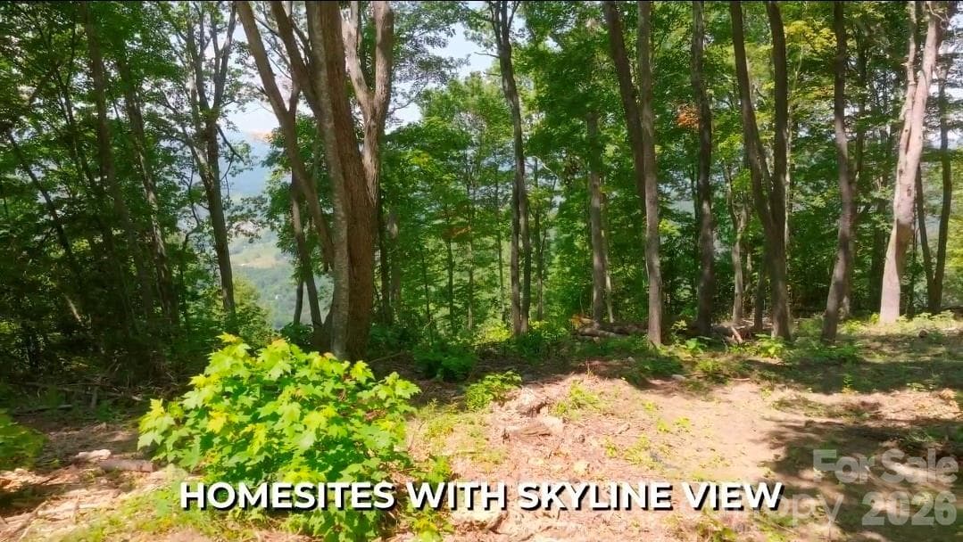 Idyllic level, gently sloping build sites, and THOSE VIEWS!! - 19 Estate Drive, Waynesville