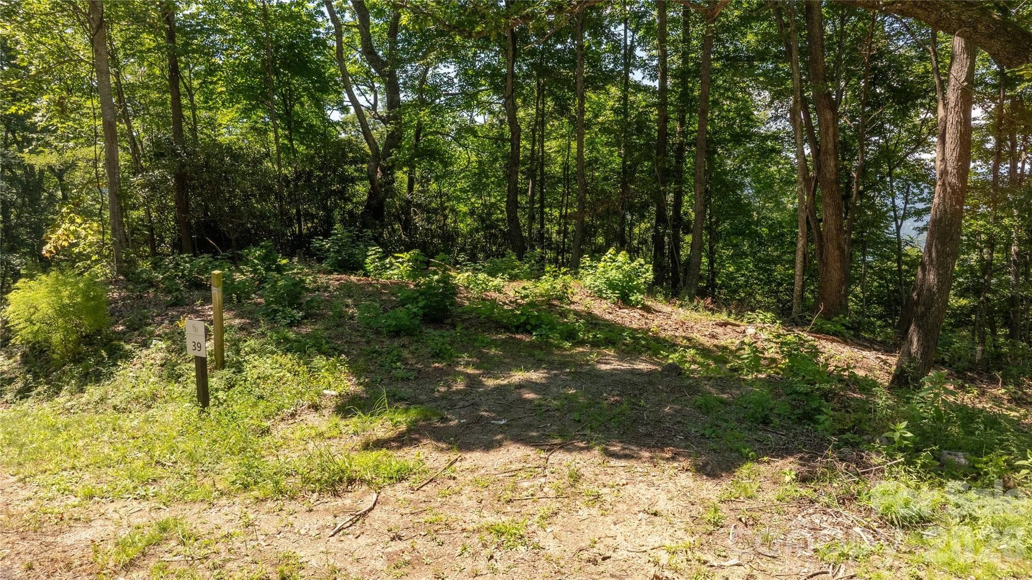 Idyllic level, gently sloping build sites, and THOSE VIEWS!! - 19 Estate Drive, Waynesville