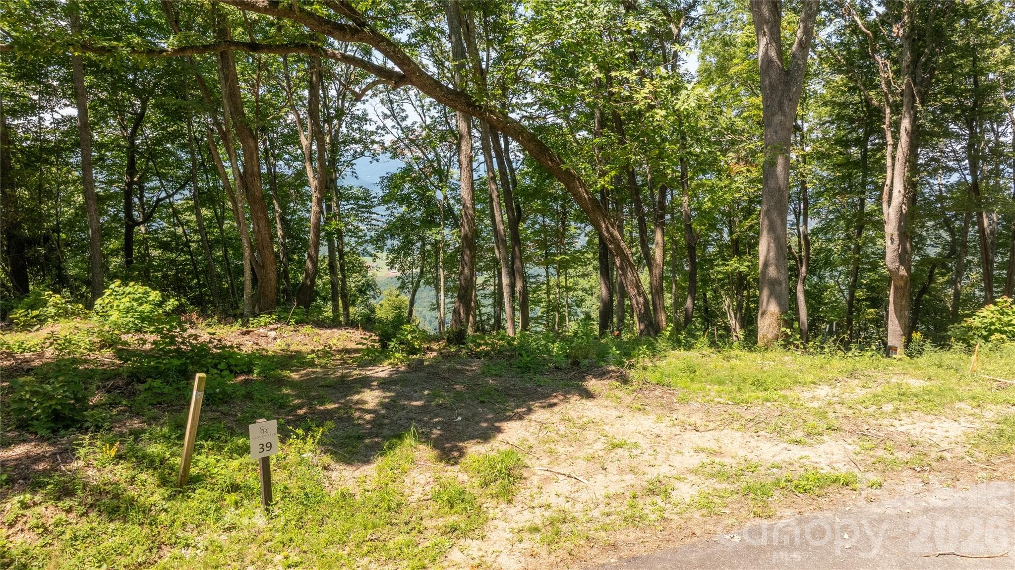Idyllic level, gently sloping build sites, and THOSE VIEWS!! - 19 Estate Drive, Waynesville