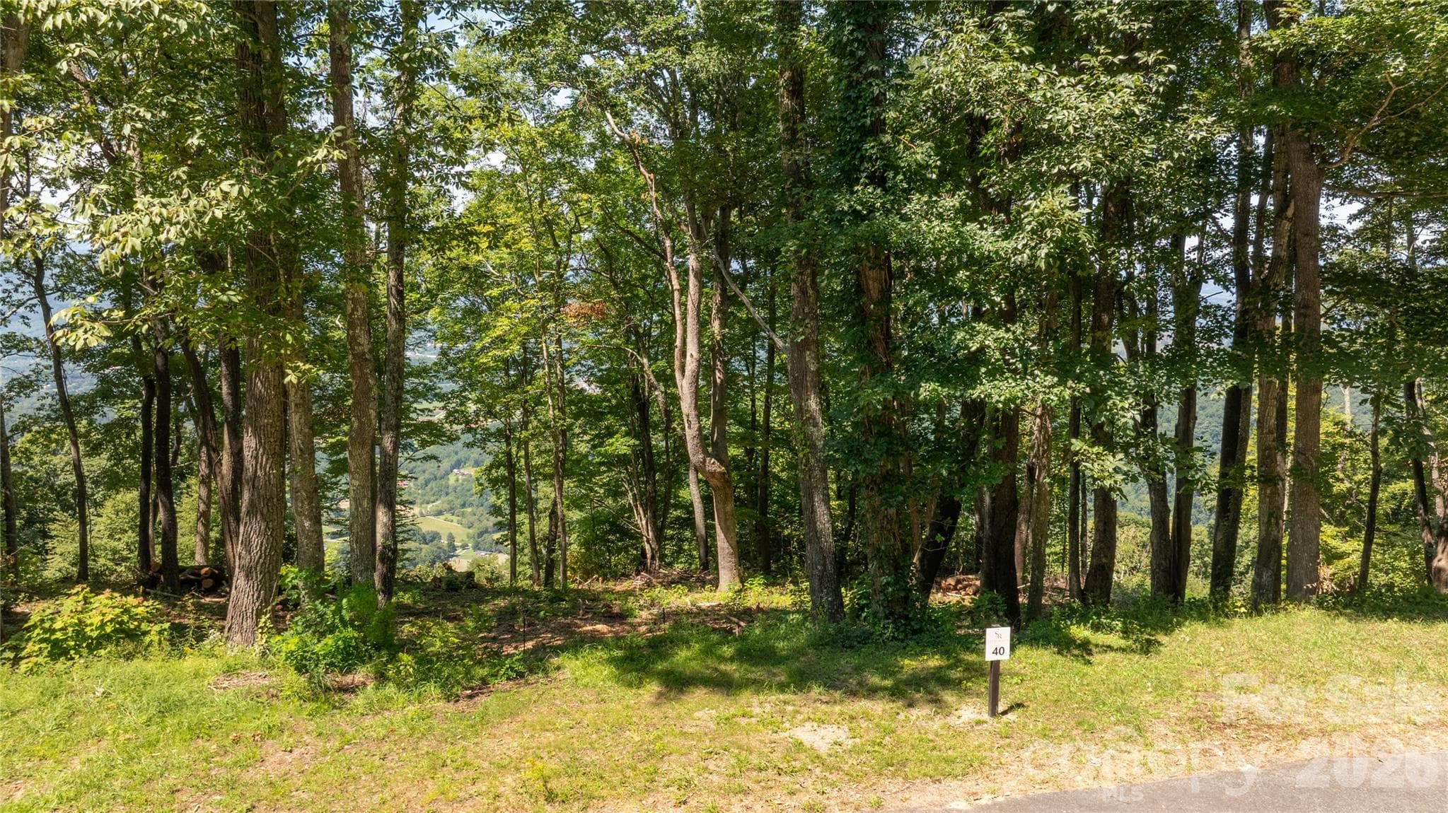 Lot at 19 Estate Drive, Waynesville, photo 17 of 27