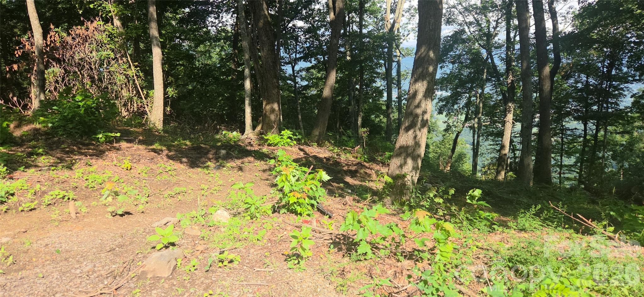 Idyllic level, gently sloping build sites, and THOSE VIEWS!! - 19 Estate Drive, Waynesville