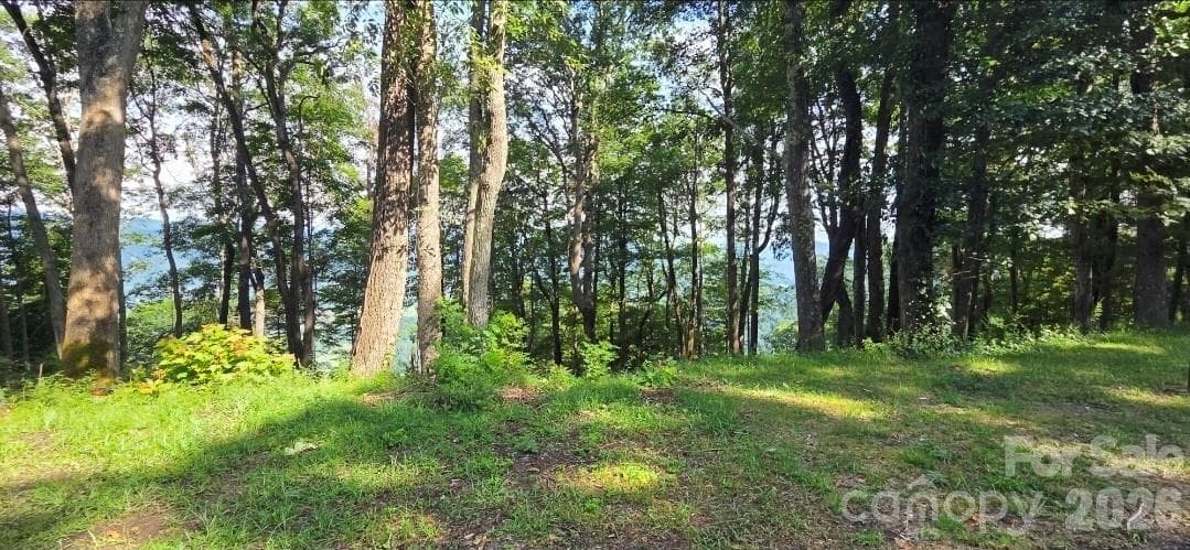 Idyllic level, gently sloping build sites, and THOSE VIEWS!! - 19 Estate Drive, Waynesville