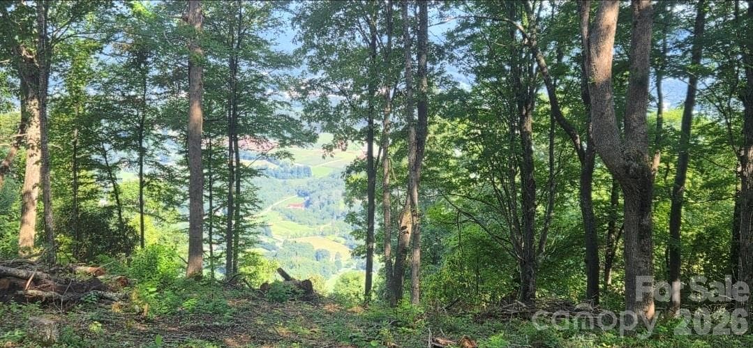 Idyllic level, gently sloping build sites, and THOSE VIEWS!! - 19 Estate Drive, Waynesville