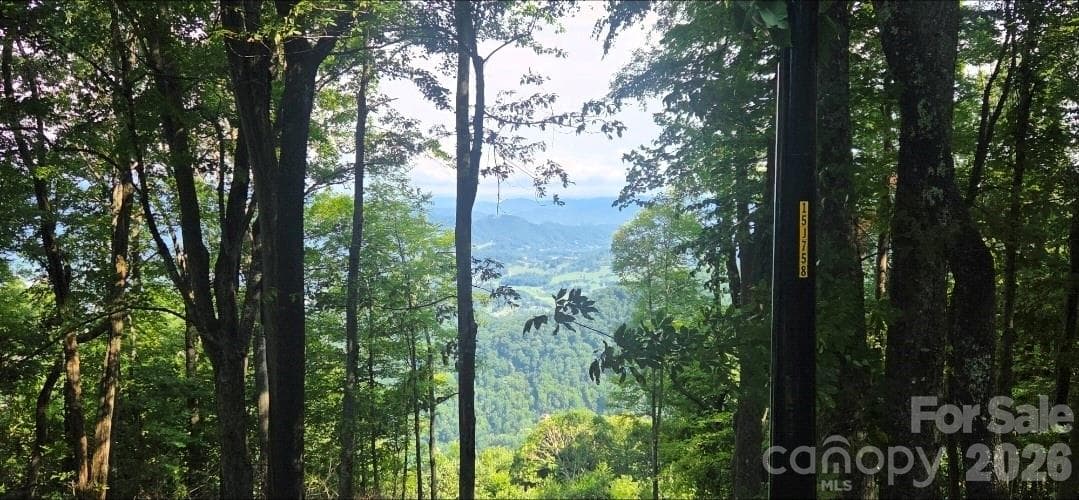 Idyllic level, gently sloping build sites, and THOSE VIEWS!! - 19 Estate Drive, Waynesville