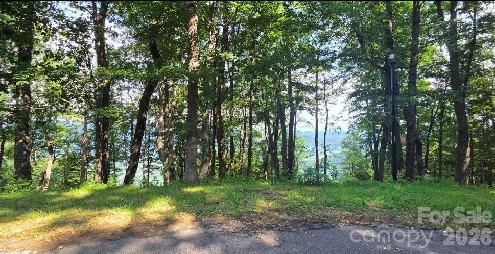 Idyllic level, gently sloping build sites, and THOSE VIEWS!! - 19 Estate Drive, Waynesville