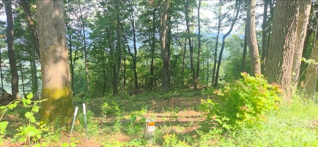 Idyllic level, gently sloping build sites, and THOSE VIEWS!! - 19 Estate Drive, Waynesville