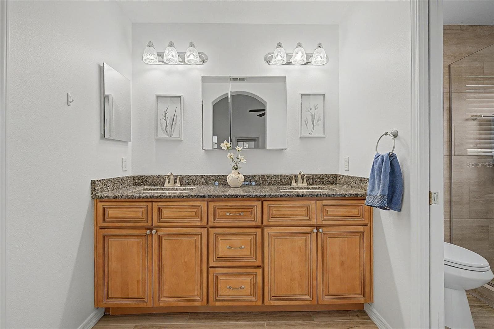 Double vanity with stone countertop provides additional storage - 12027 FERN TERRACE CT, TRINITY