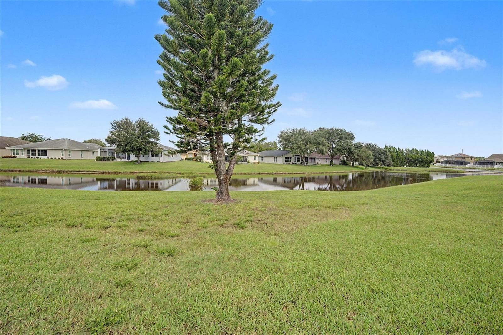 Get used to this view to start or end your day - 12027 FERN TERRACE CT, TRINITY