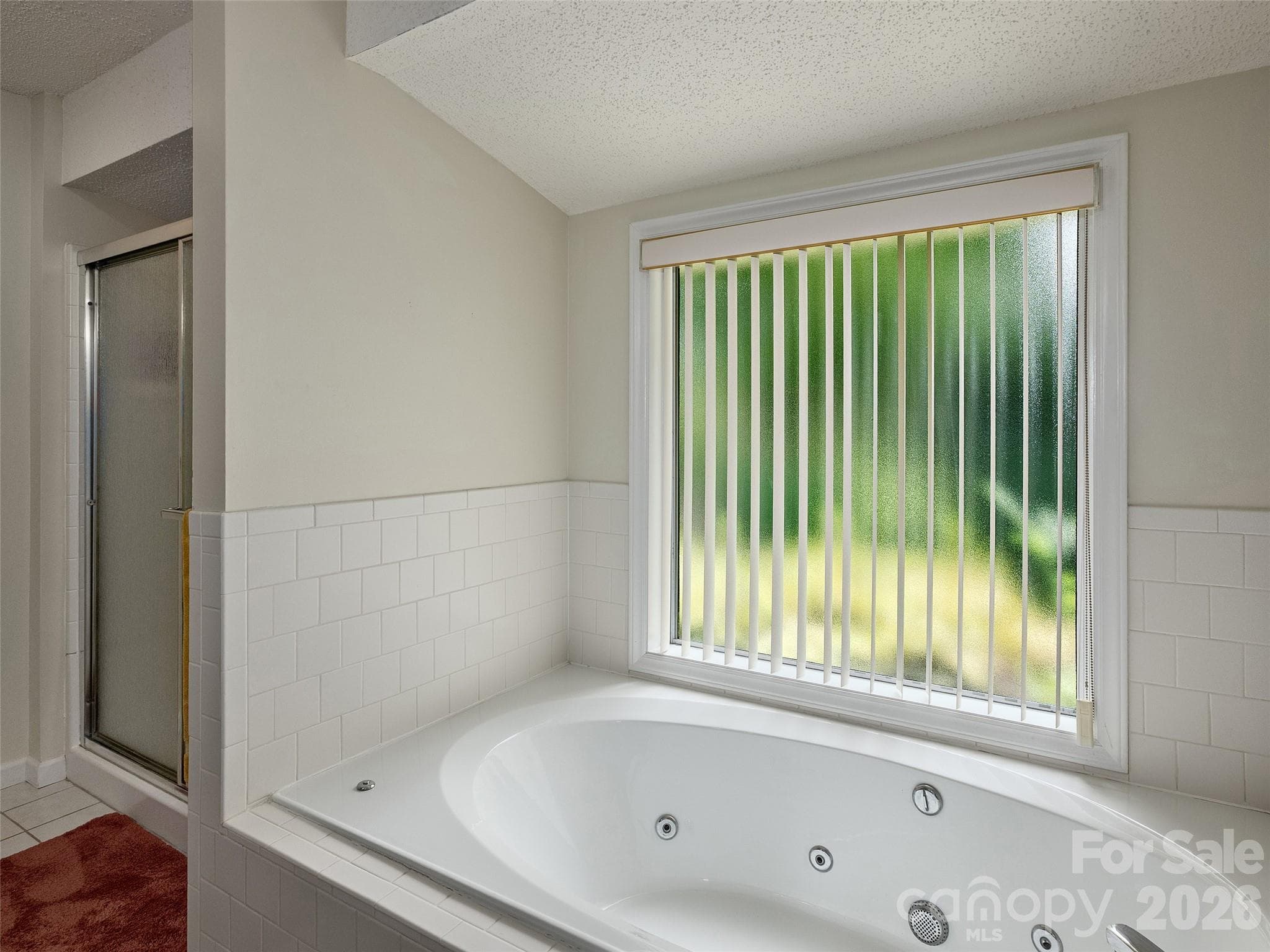 Primary bath includes a spacious tub and natural light from the adjoining window - 5 St Andrews Drive, Etowah