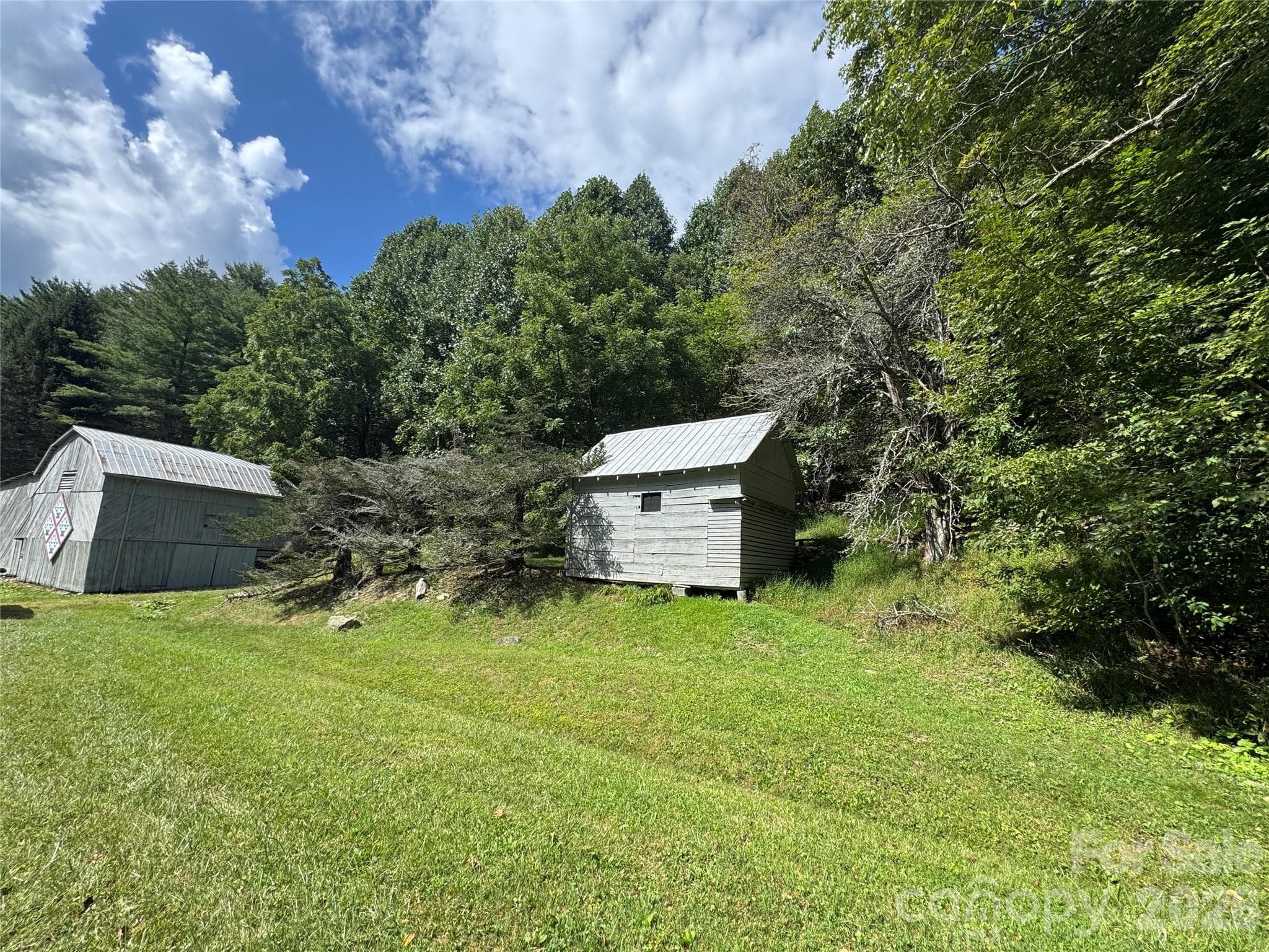 Acreage at 000 Puncheon Fork Road, Mars Hill, photo 2 of 19