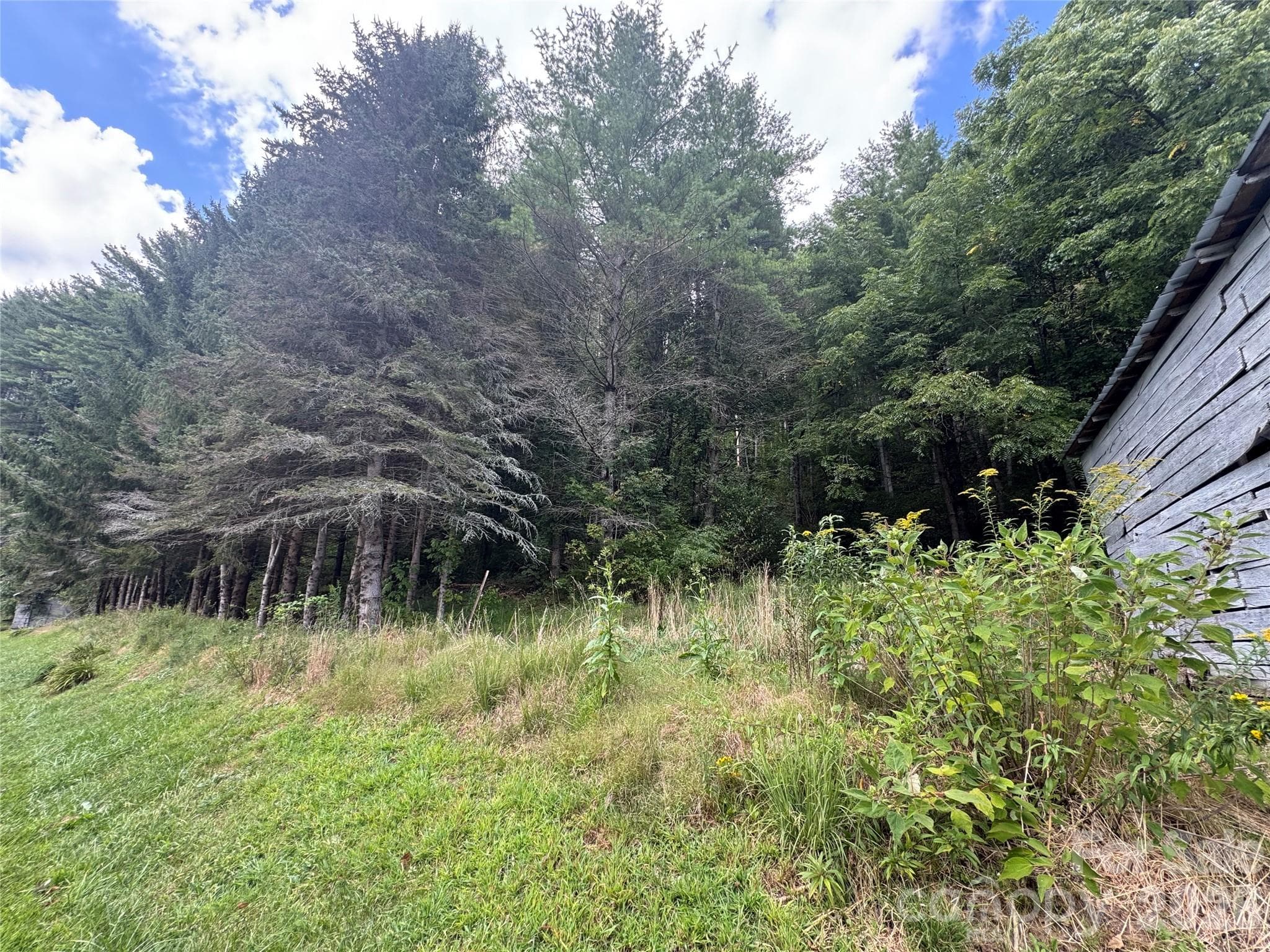 Acreage at 000 Puncheon Fork Road, Mars Hill, photo 4 of 19