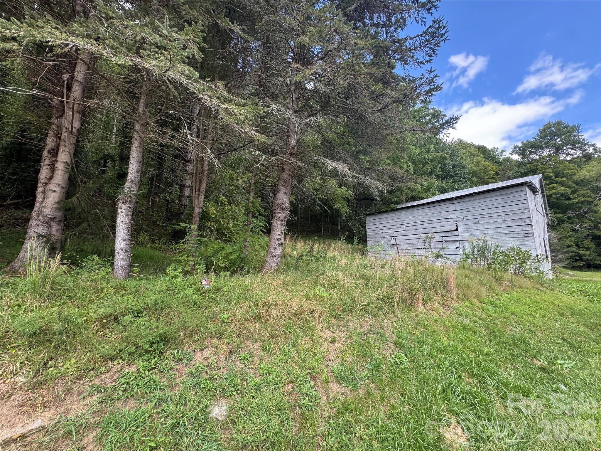 Acreage at 000 Puncheon Fork Road, Mars Hill, photo 6 of 19